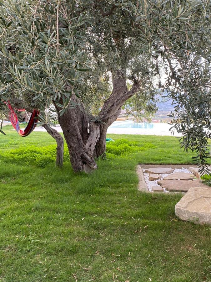 מלון פאלקונה Casa Delle Sirene Nto Principe מראה חיצוני תמונה